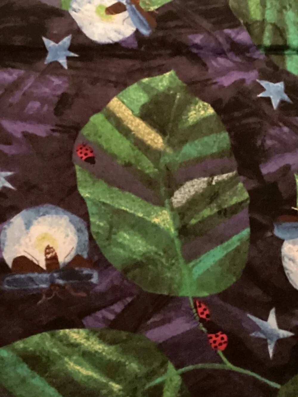 Eric Carle by Andover four yards